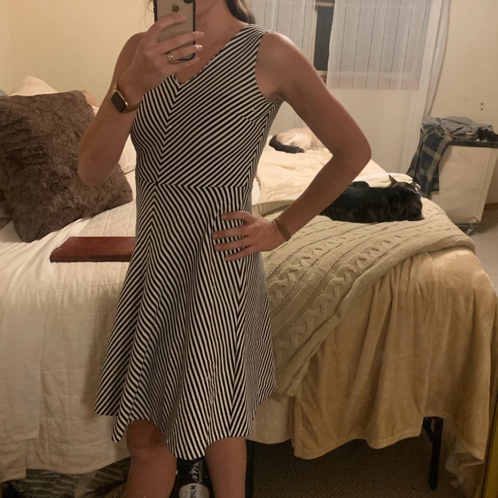 Talbots black and white skater skirt dress